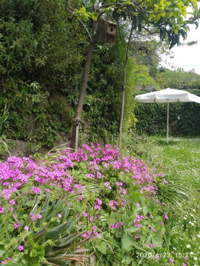 Apartamentos & Casa Rural Boada Con Jardin Interior Y Barbacoa Villamiel Exterior foto